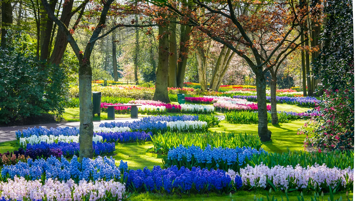 Holland2015-183.jpg