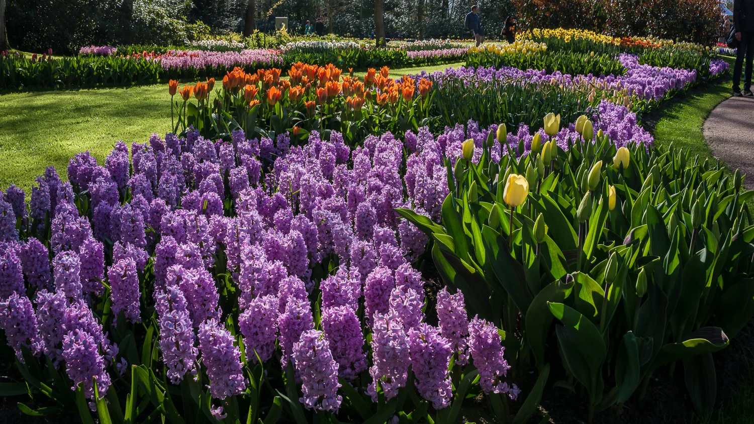Holland2015-184.jpg