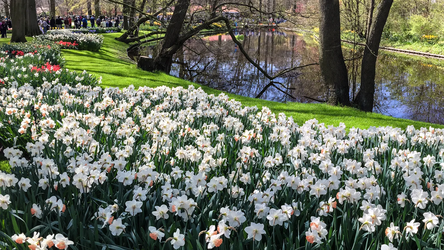 Holland2015-188.jpg