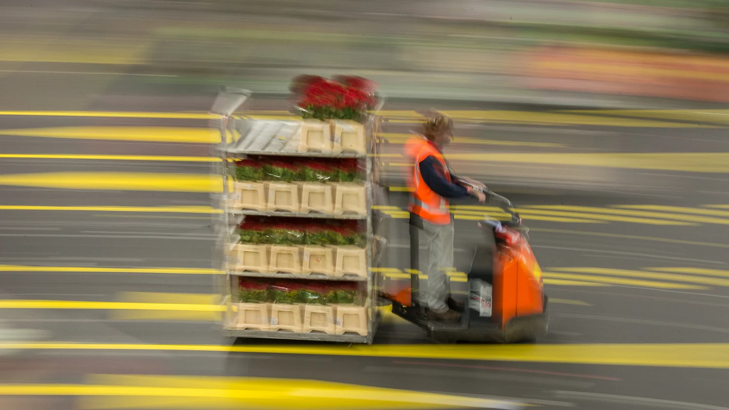 Holland2015-196.jpg