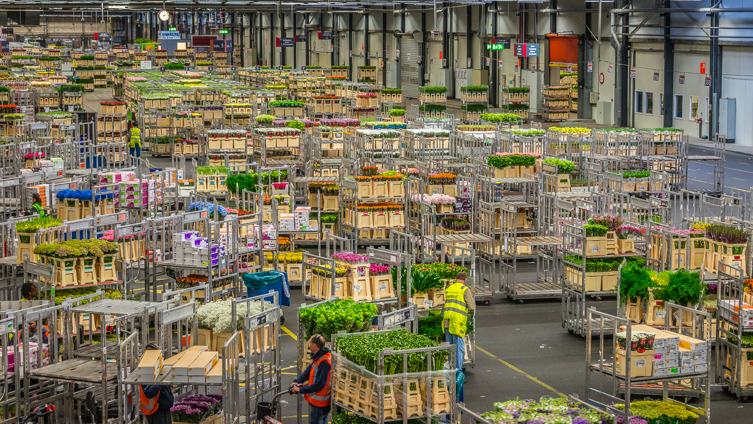 Holland2015-205.jpg