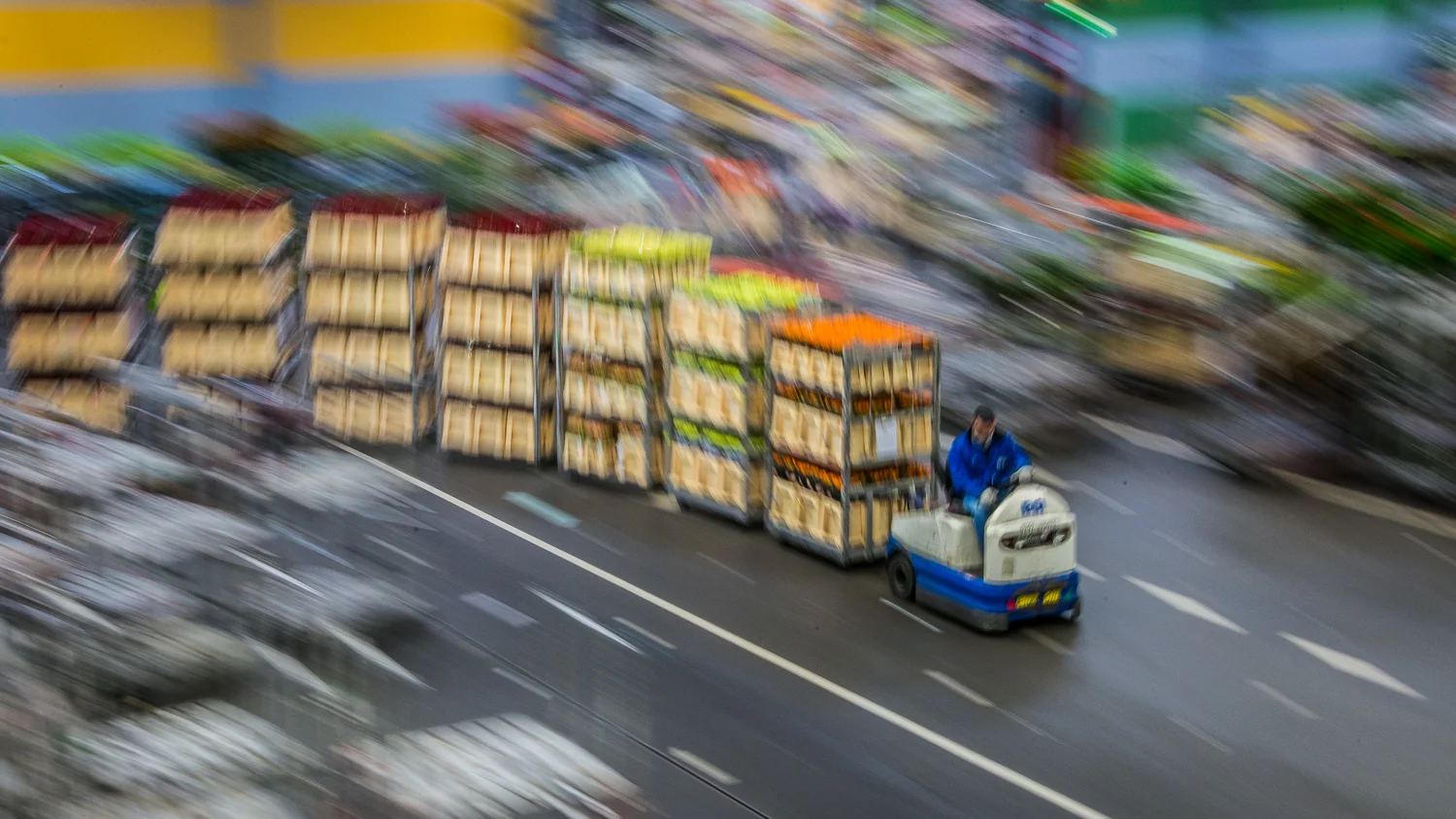 Holland2015-215.jpg