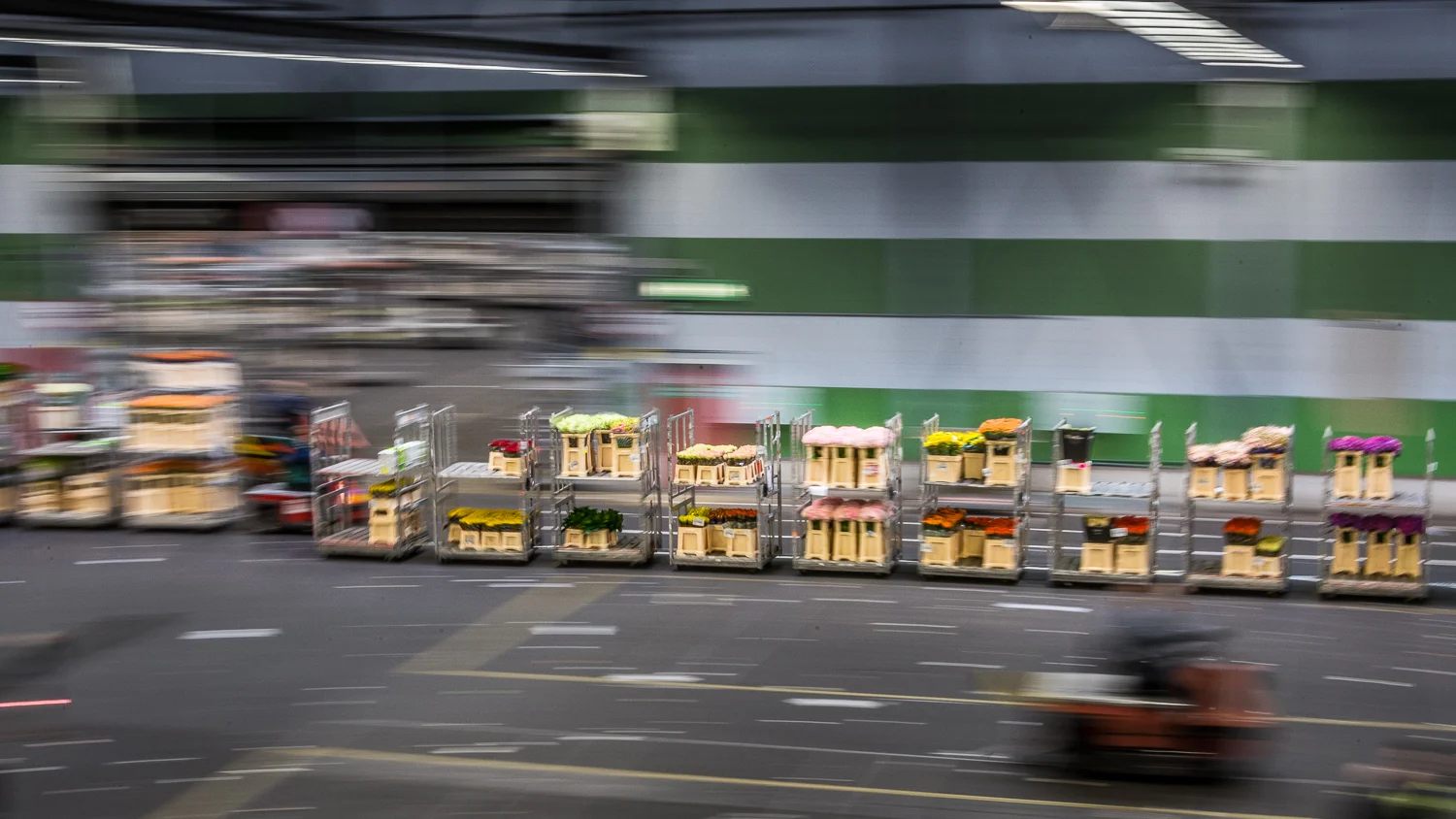 Holland2015-218.jpg