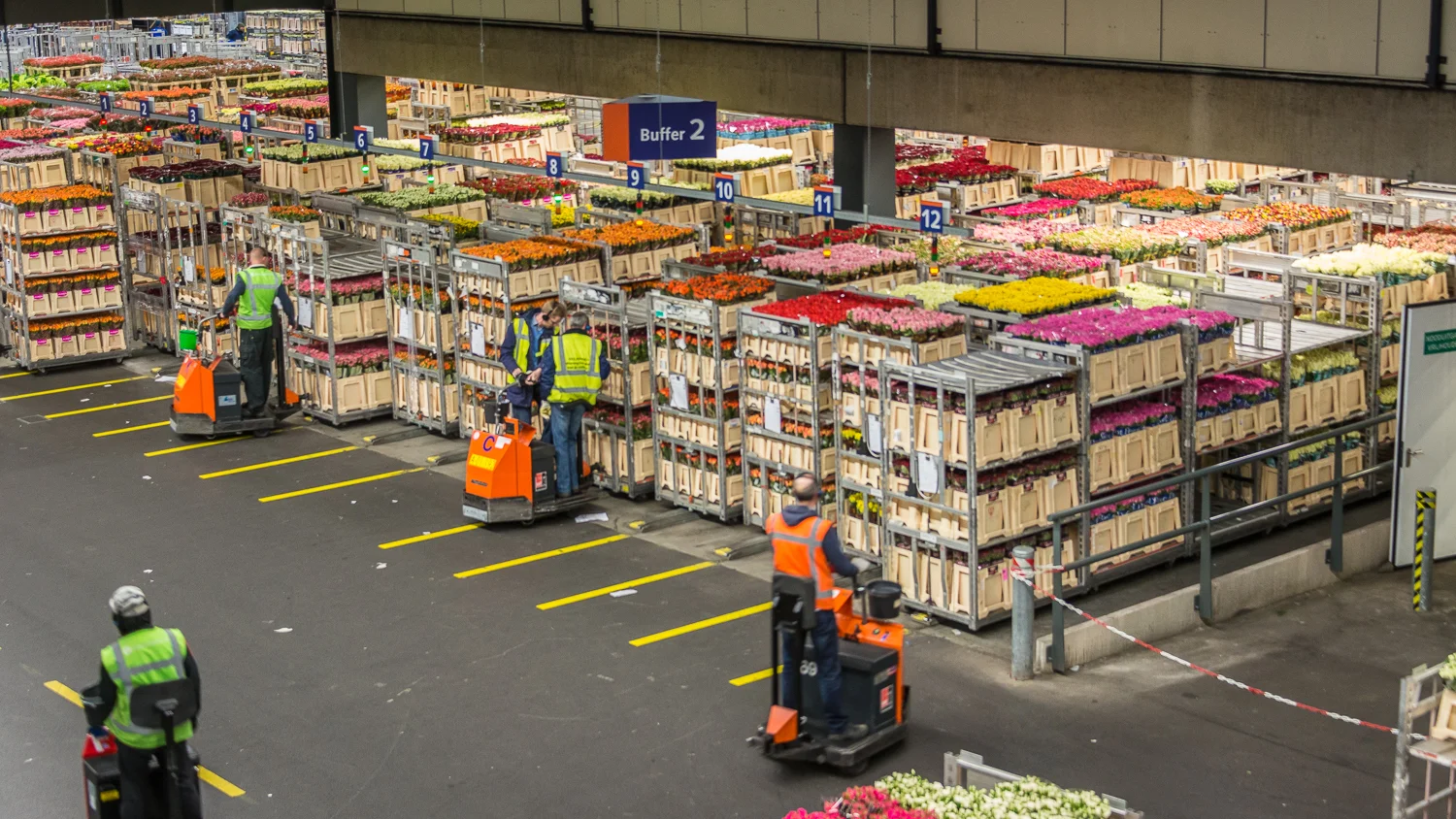 Holland2015-220.jpg