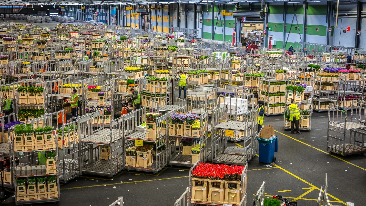 Holland2015-219.jpg