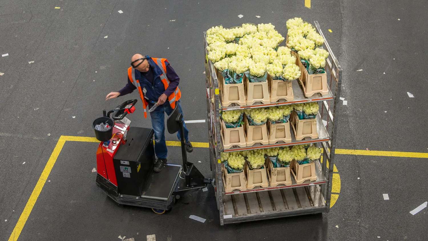 Holland2015-221.jpg