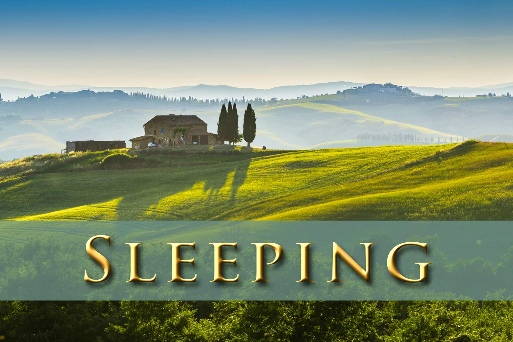 _Sleeping.jpg