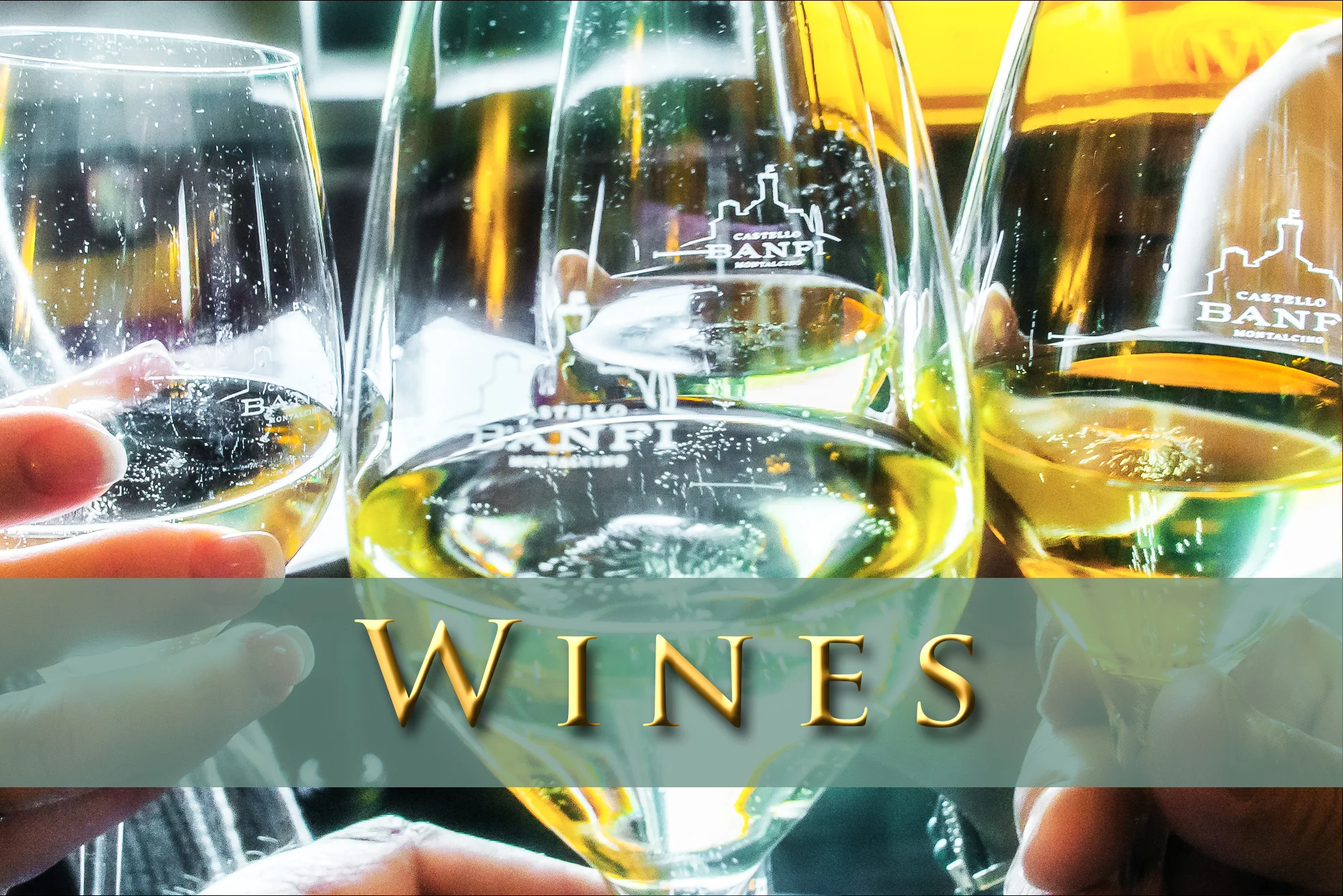 _Wines.jpg