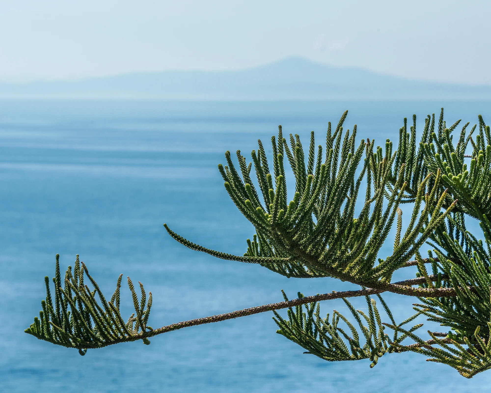 The view towards Sicily 