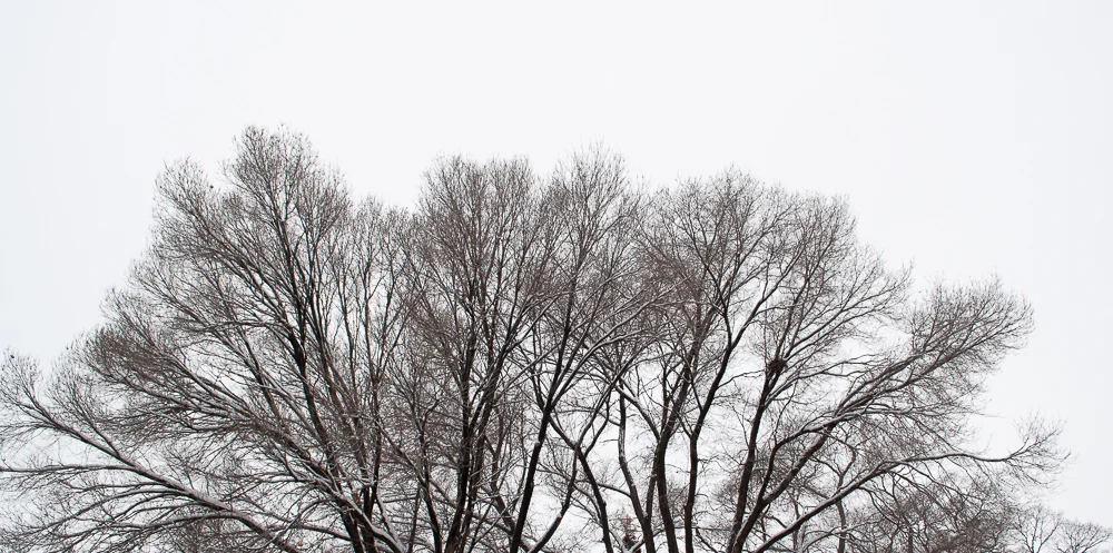 First change to the photo by cropping