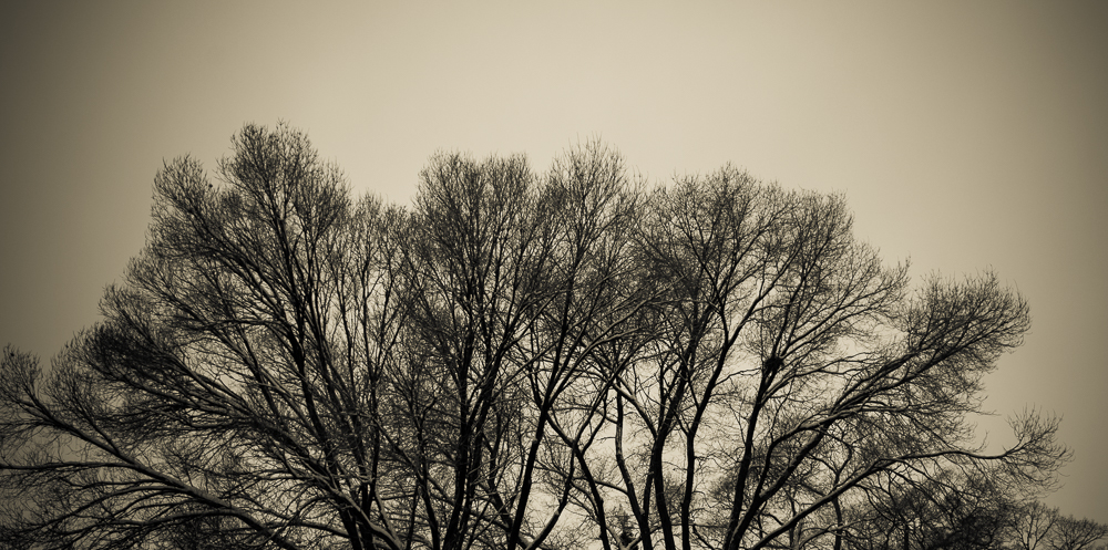 A bit of mood created by emphasizing the atmostpherics