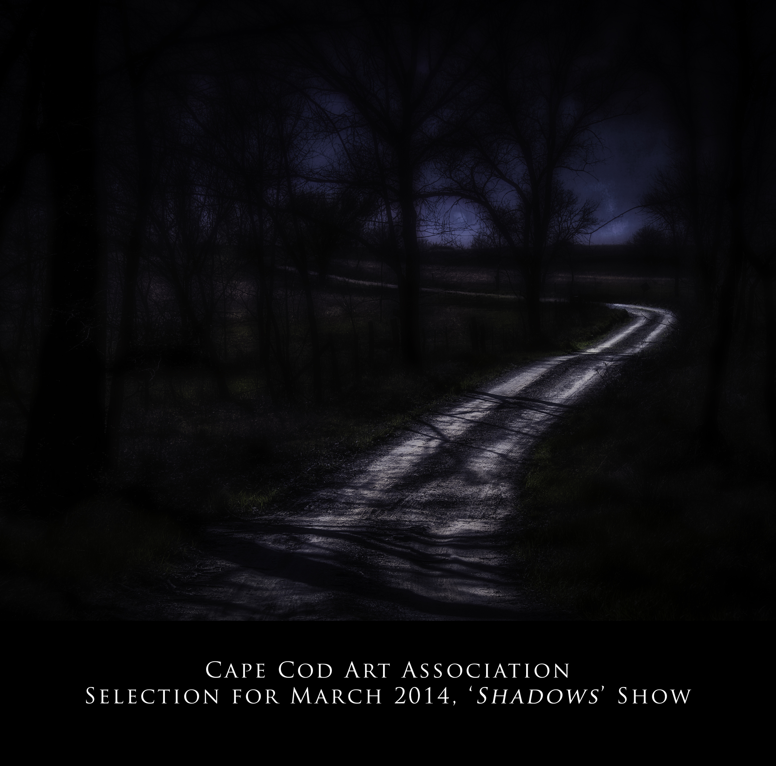 2014-MoonlightLane_CapeCodArtAssc.jpg