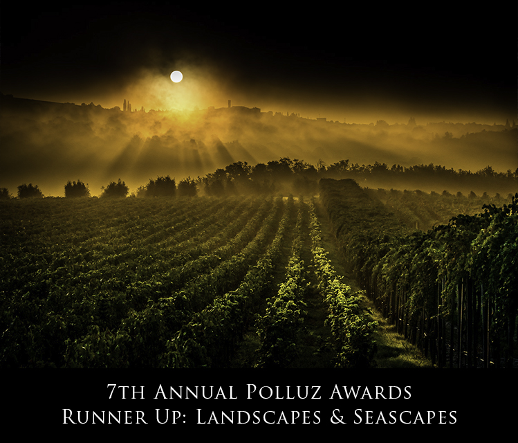 2015-PolluxRunnerUpLandscapes.jpg