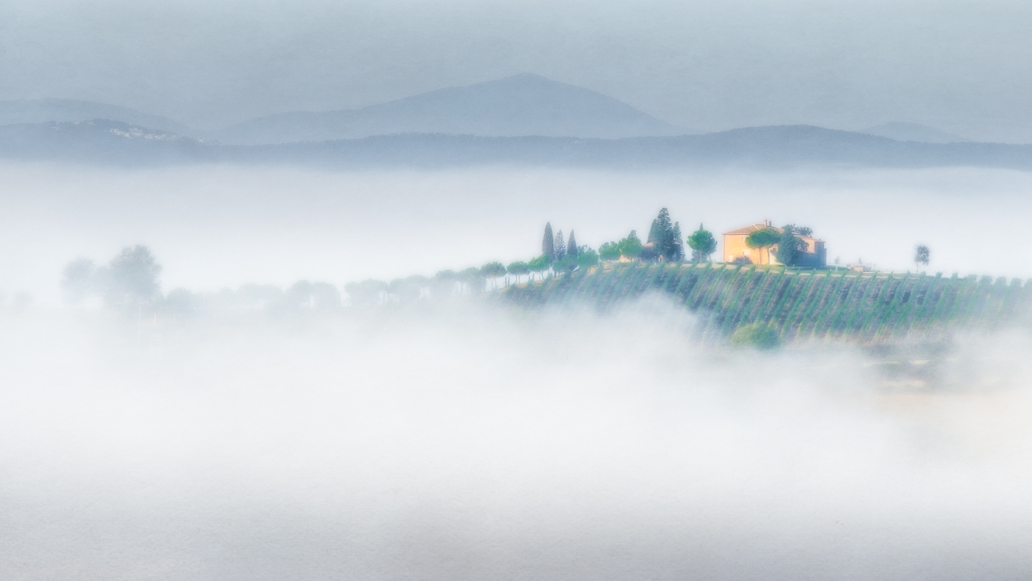 Vineyards move down the hillside of this grape producing estate