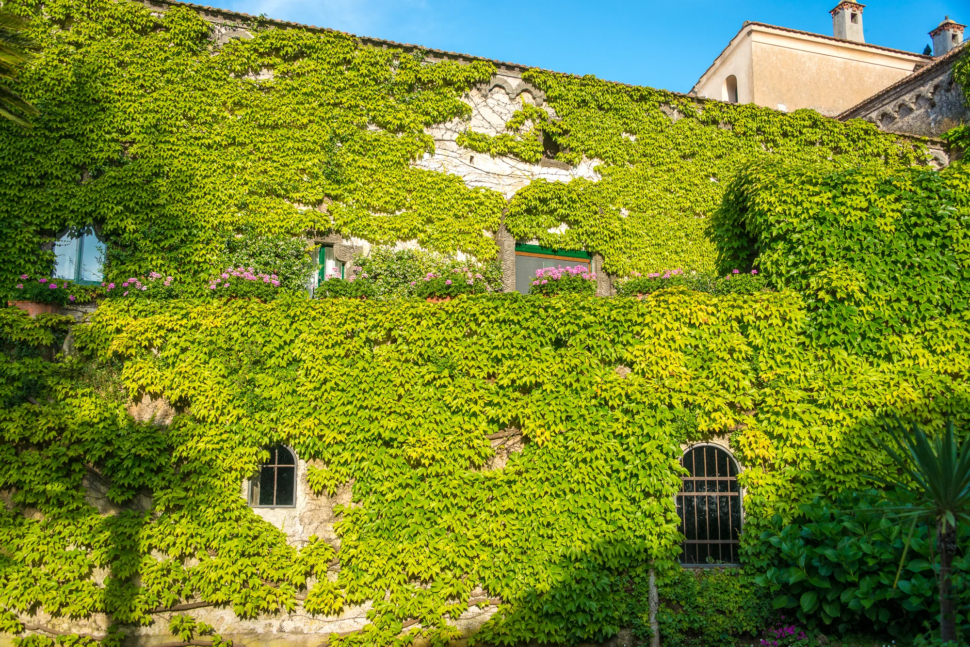 The vine-covered Villa Cimbrone