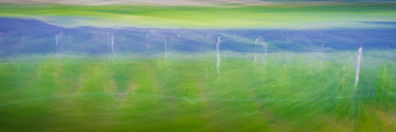 Net-Covered Vines from a Fast Moving Train