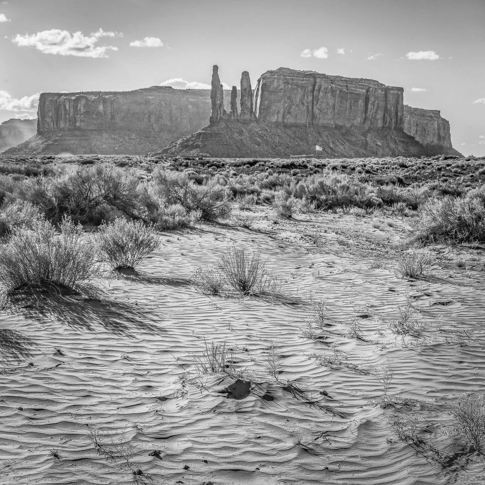 LV052017-26.jpg