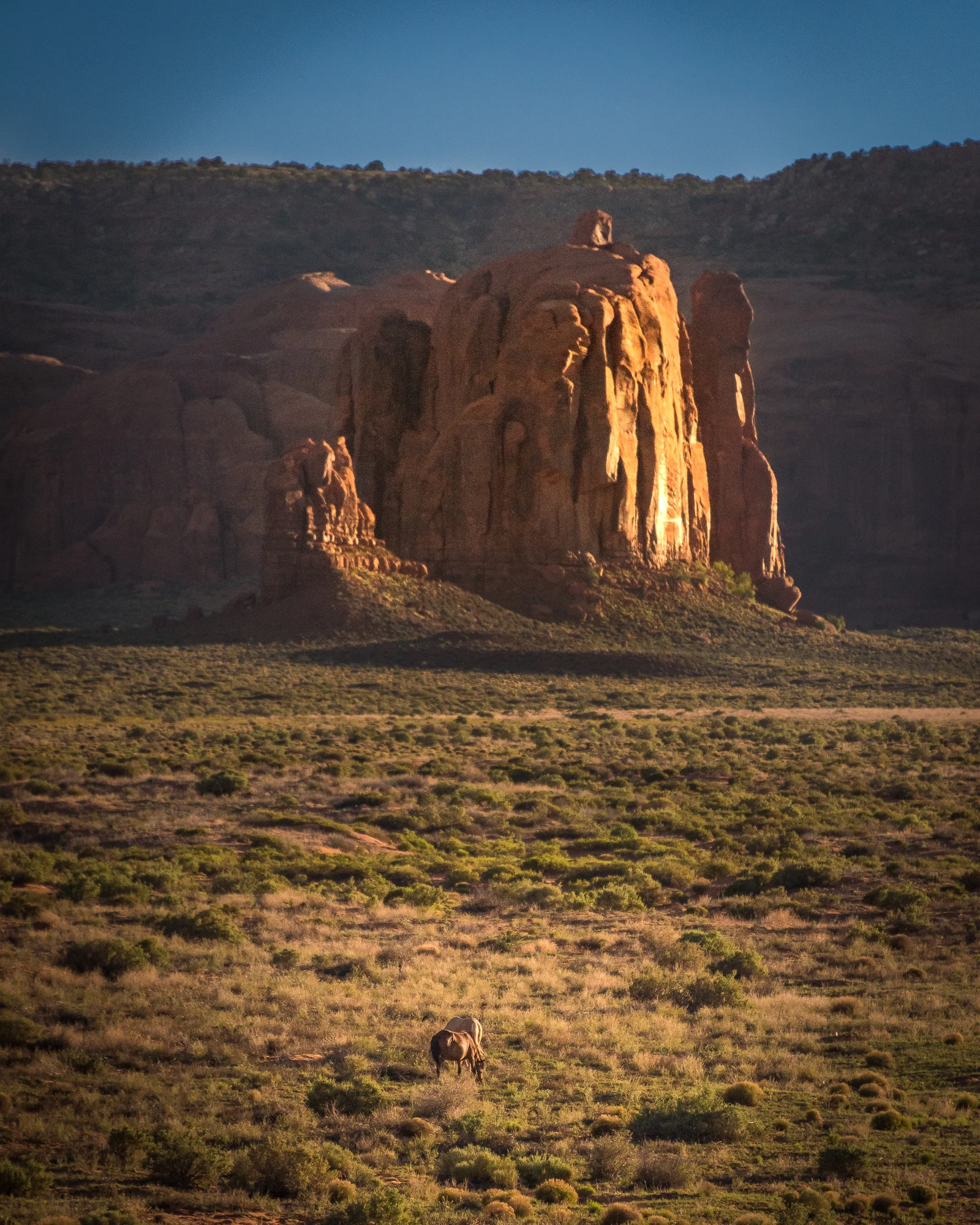 LV052017-59.jpg