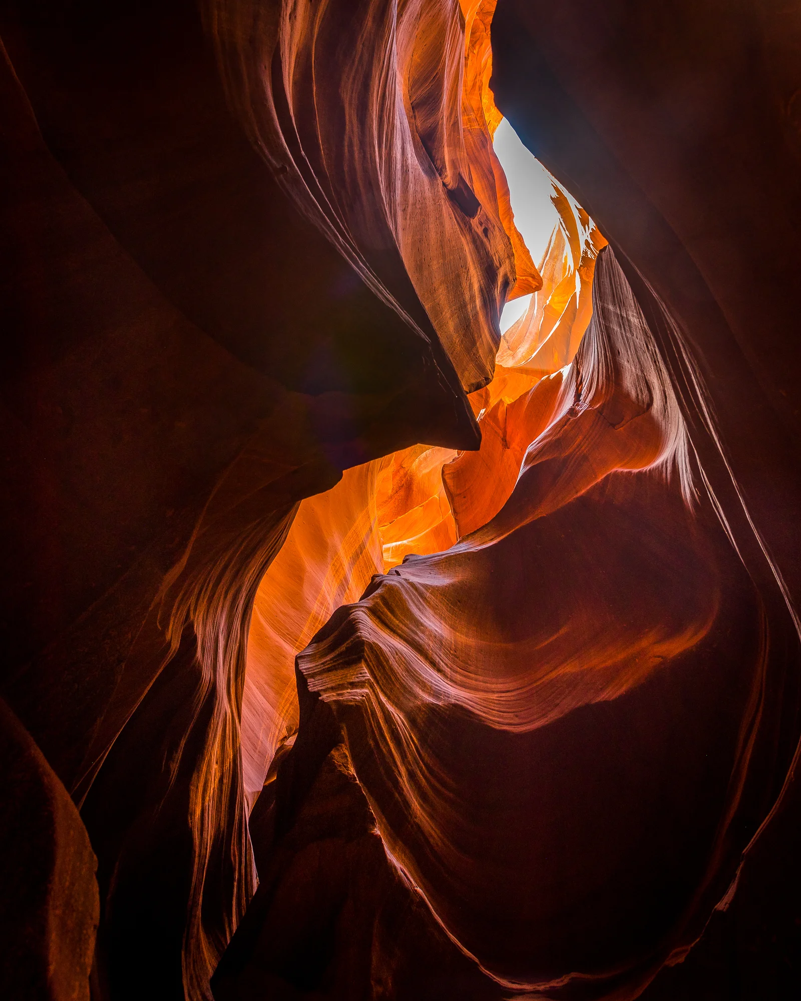 LV052017-114.jpg
