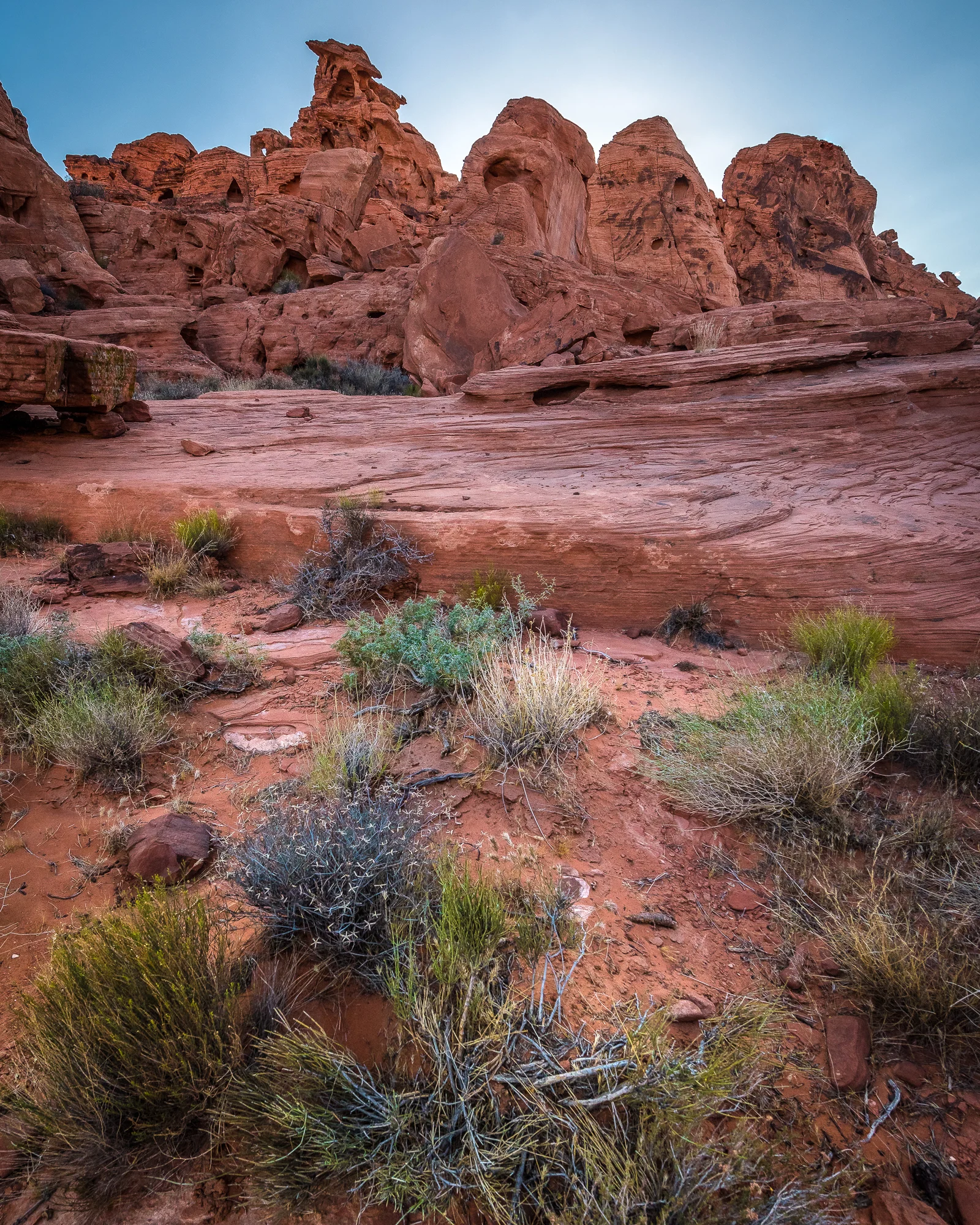 LV052017-138.jpg