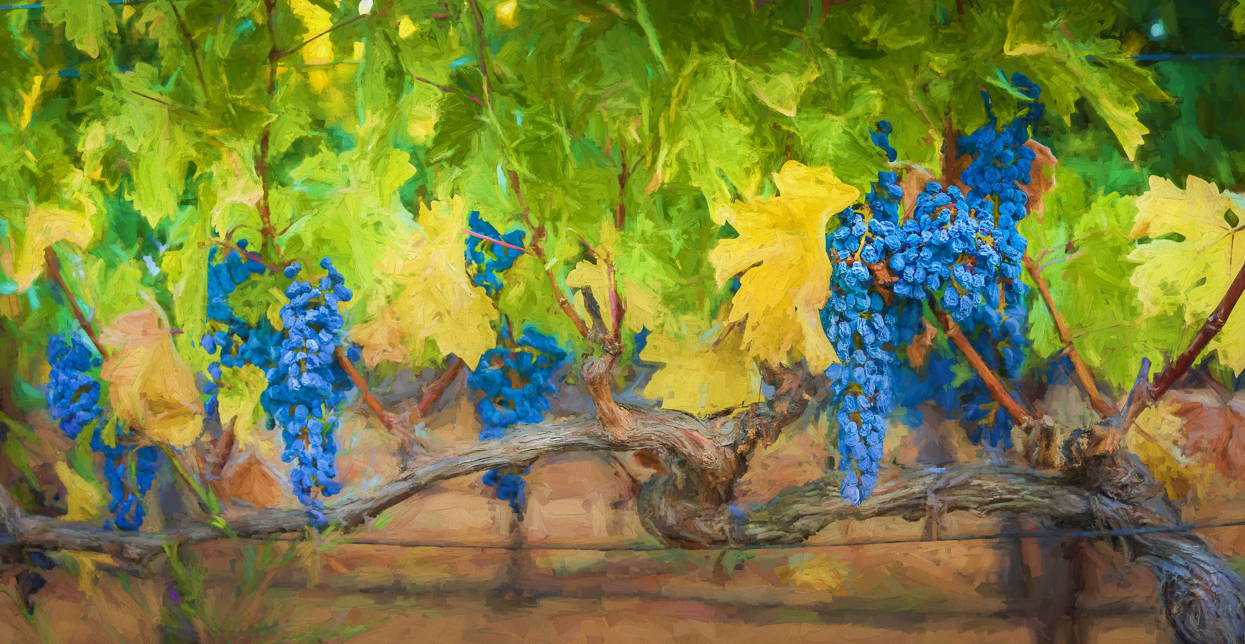 NAPA-Napa-41.jpg