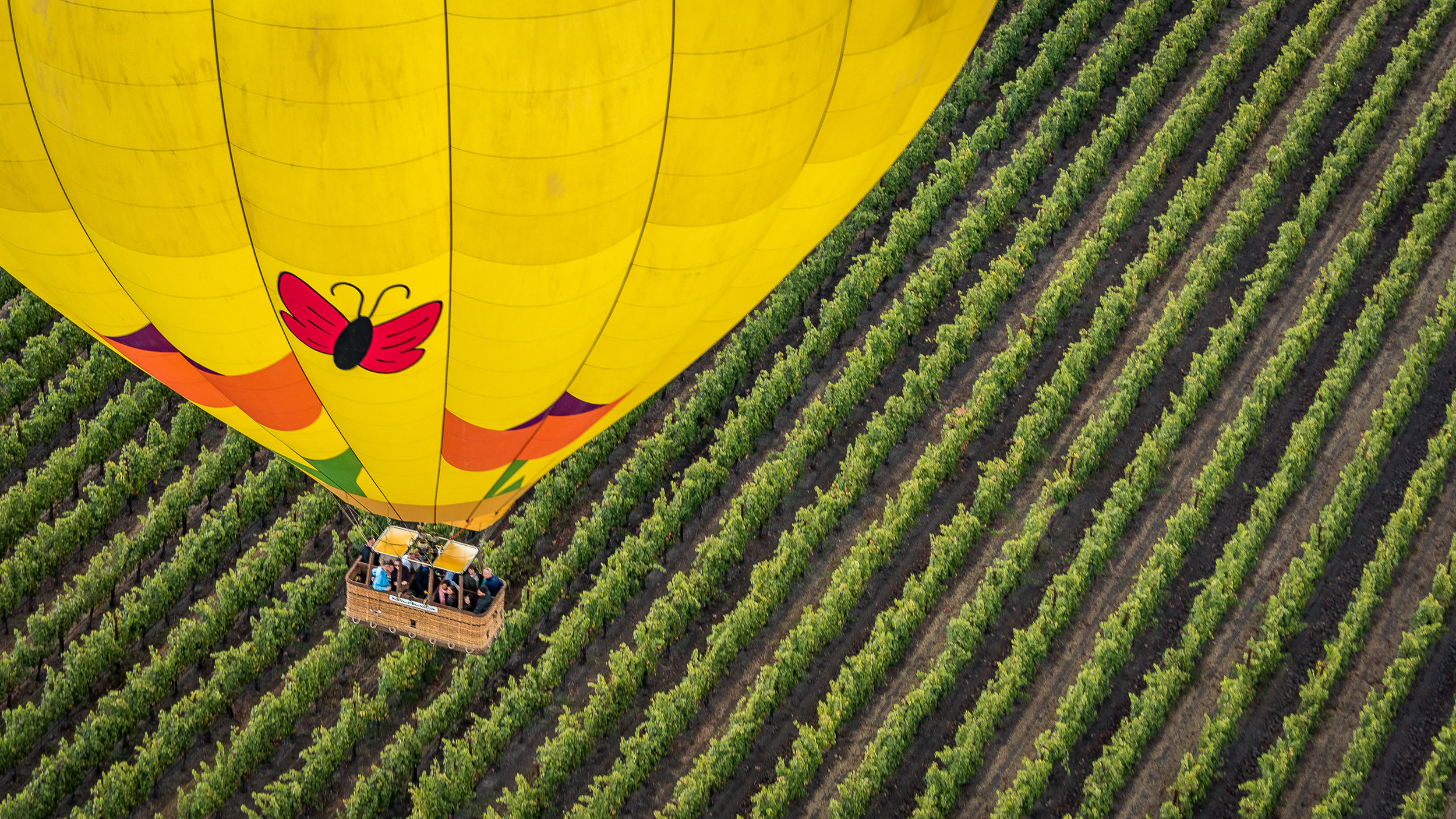 NAPA-Baloon-21.jpg