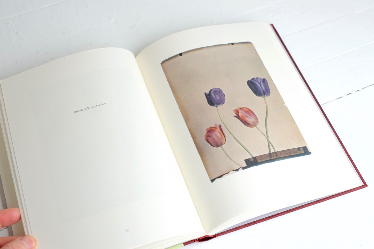 photography book - 7.jpg