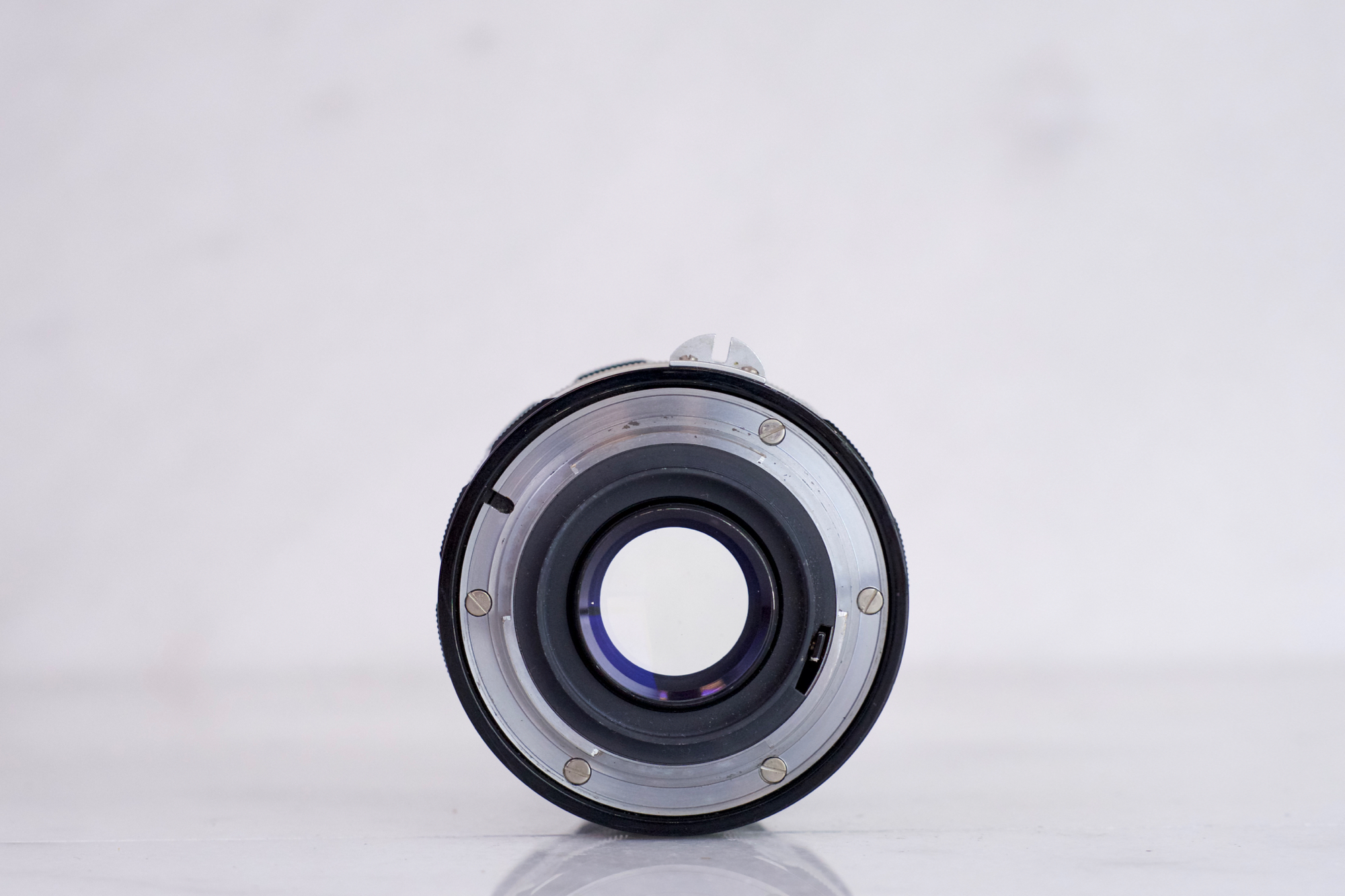 nikkor 105mm - 2.jpg