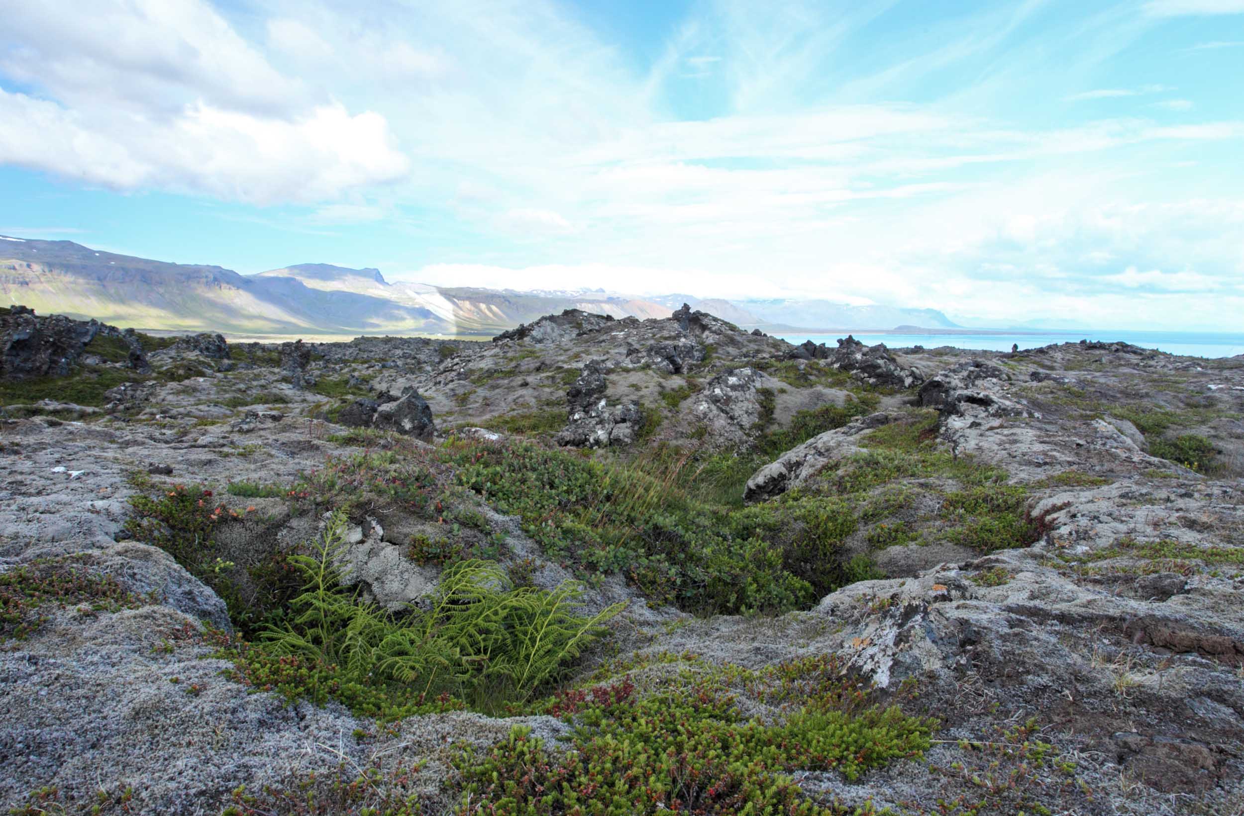 web iceland AP9F9656.jpg