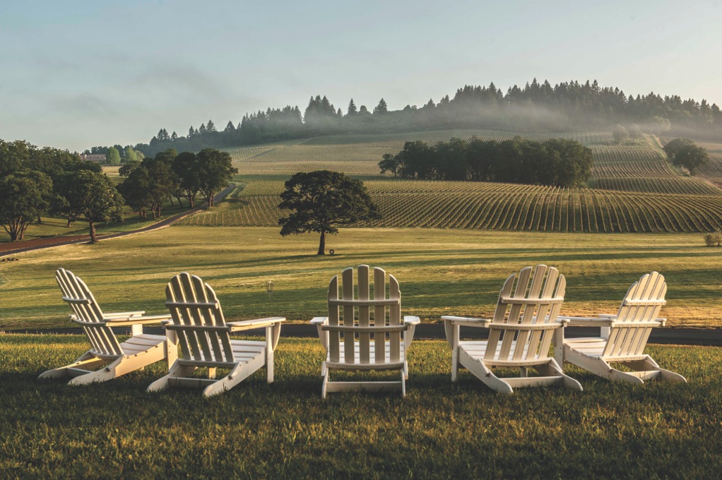 Image Courtesy of Stoller Vineyards. Photo by Mike Haverkate