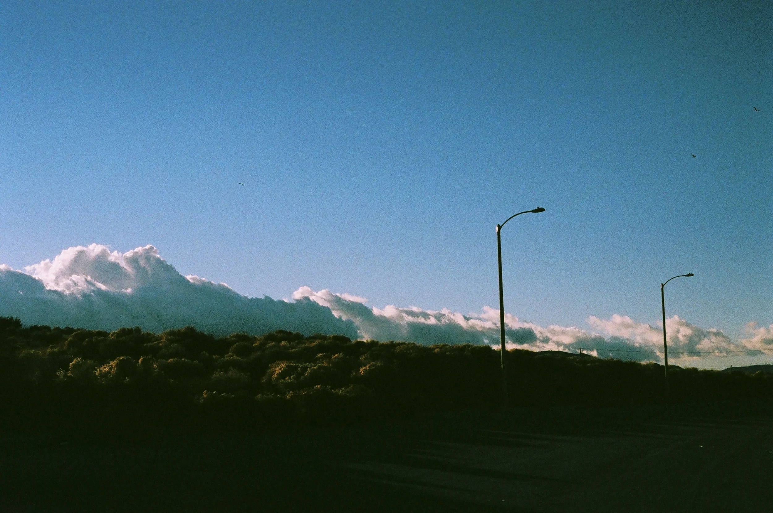 00230010.JPG