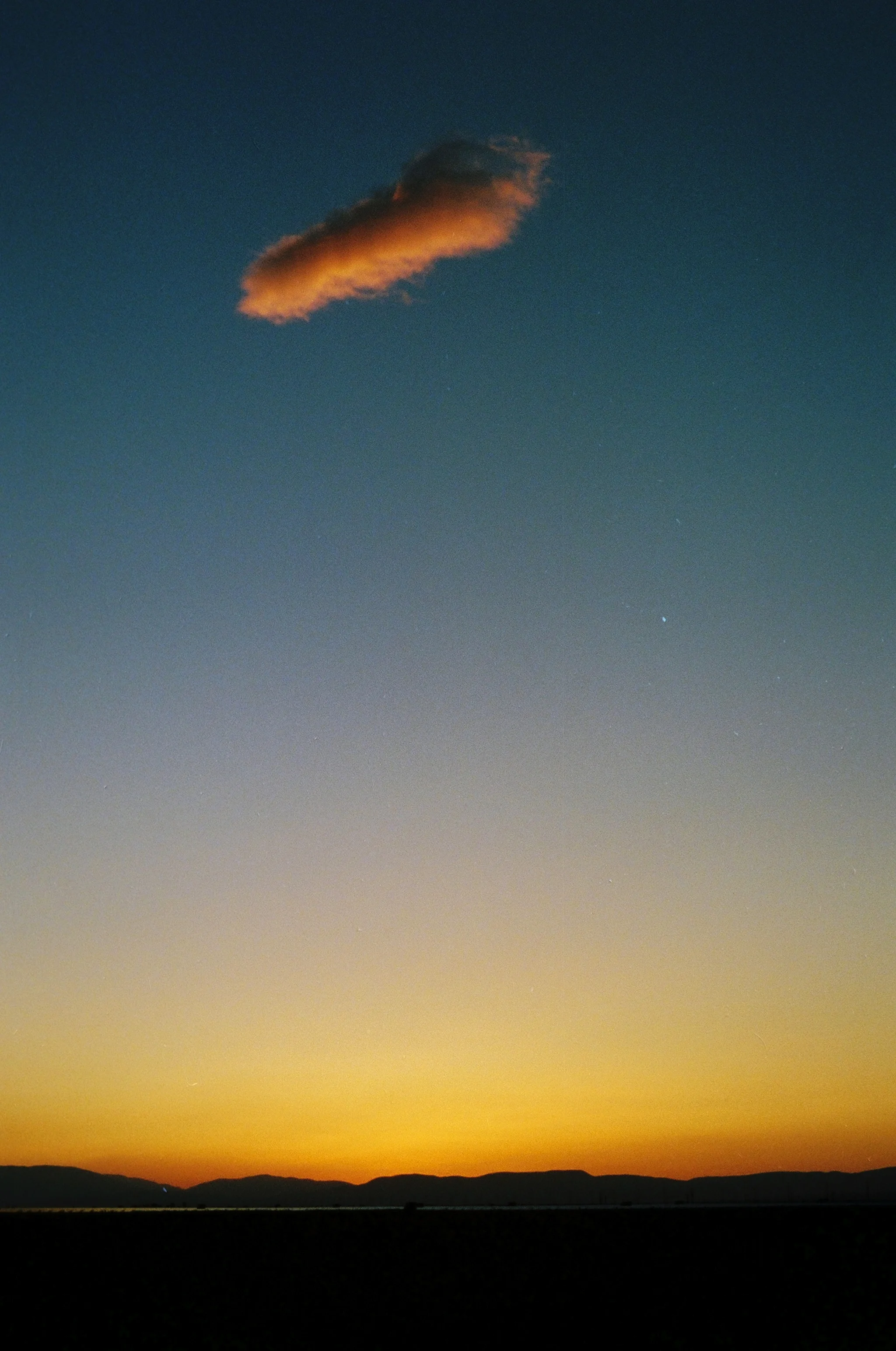 00720034.JPG