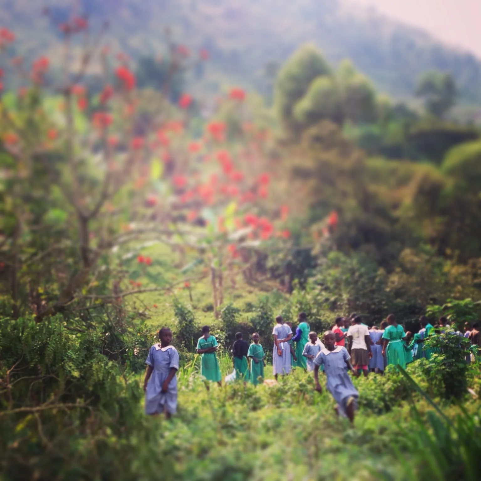 alix blair uganda conservation film