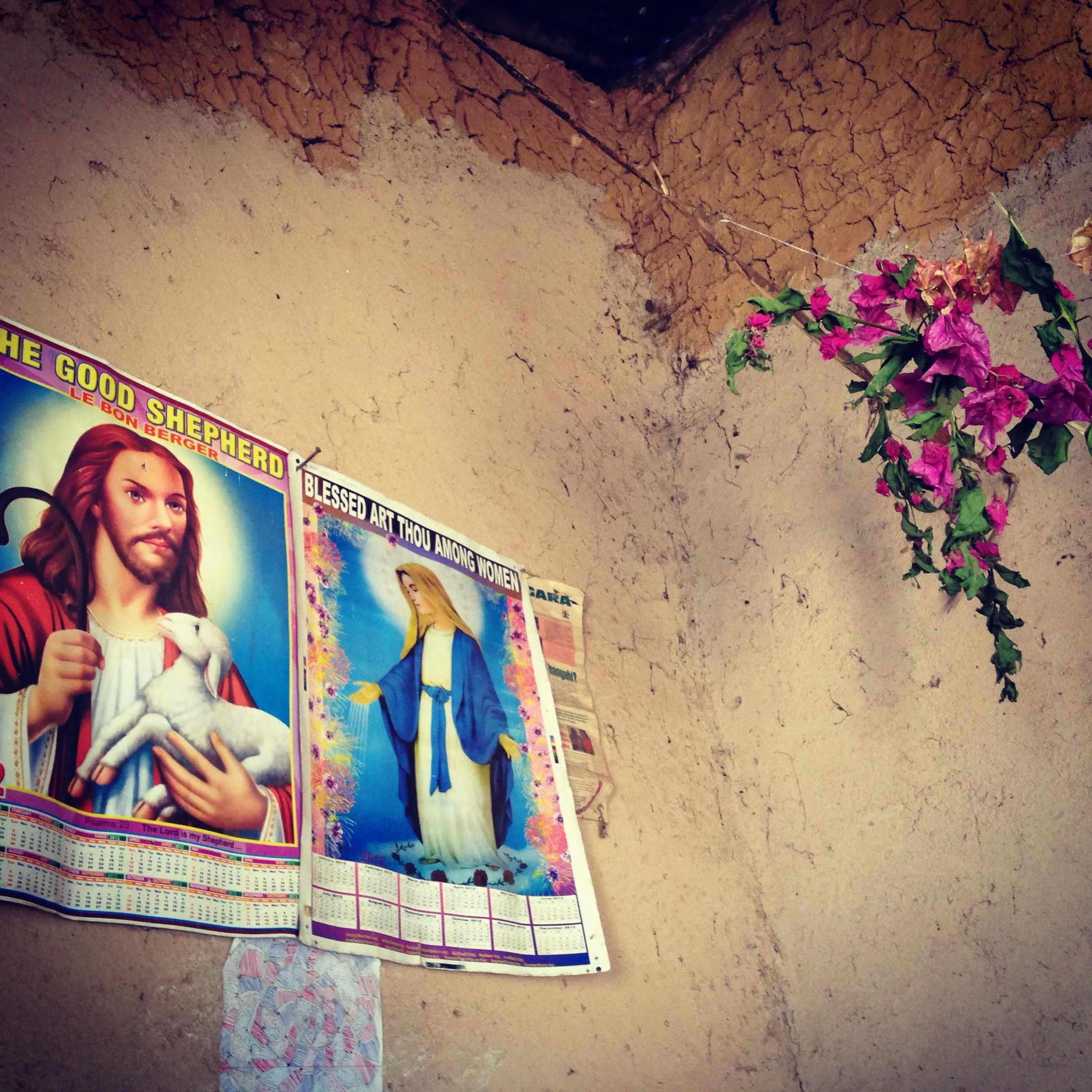 alix blair uganda conservation film