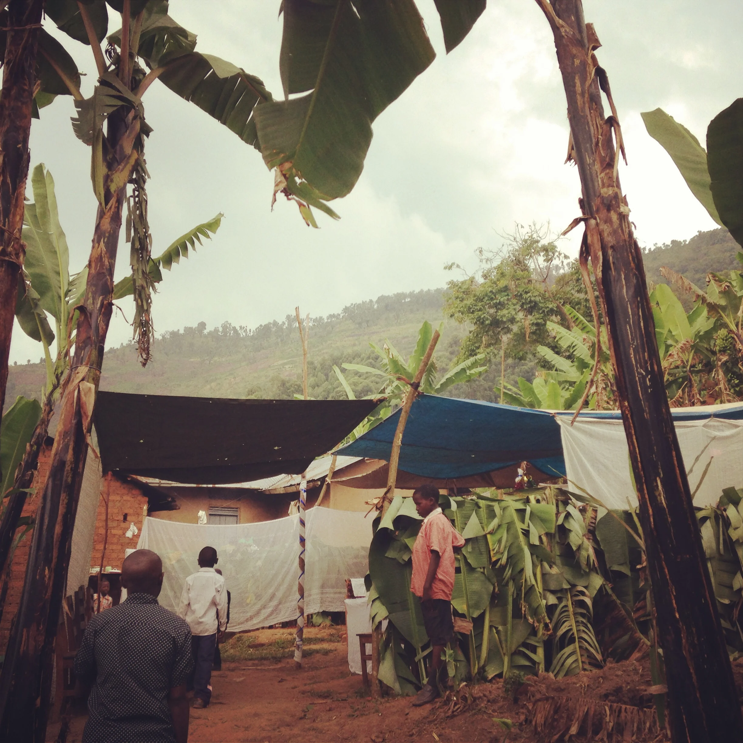 alix blair uganda conservation film