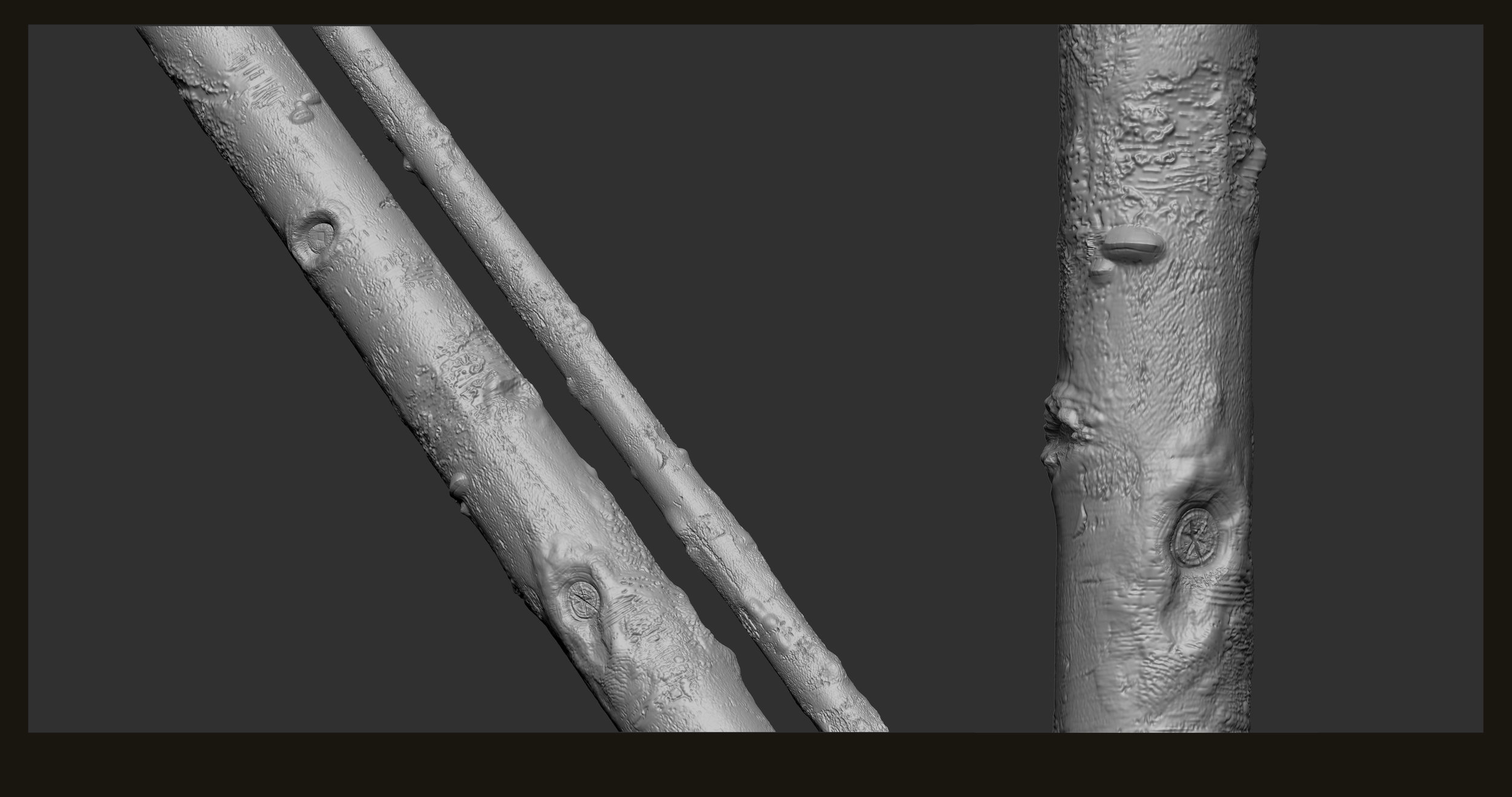 04FoliageSlideShowTreeTilingSculpt.jpg