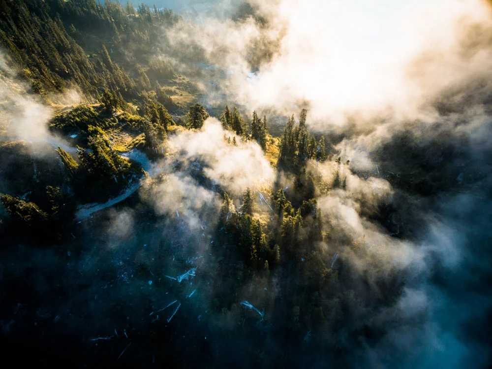 DJI_0050.jpg