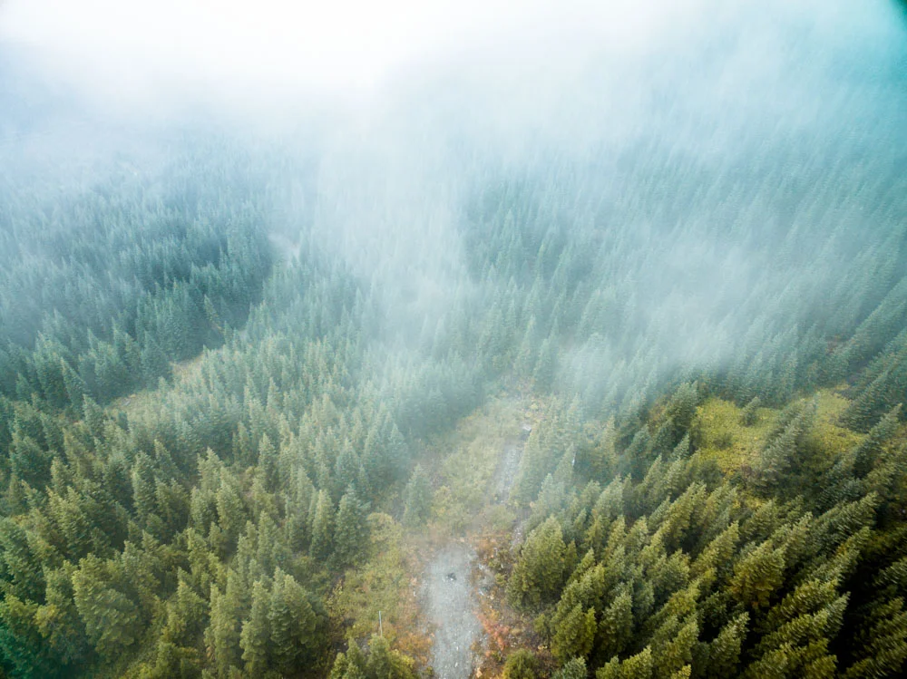 DJI_0361.jpg