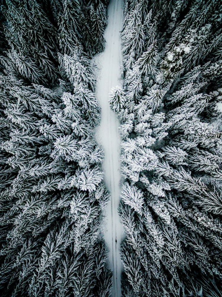 DJI_0118.jpg