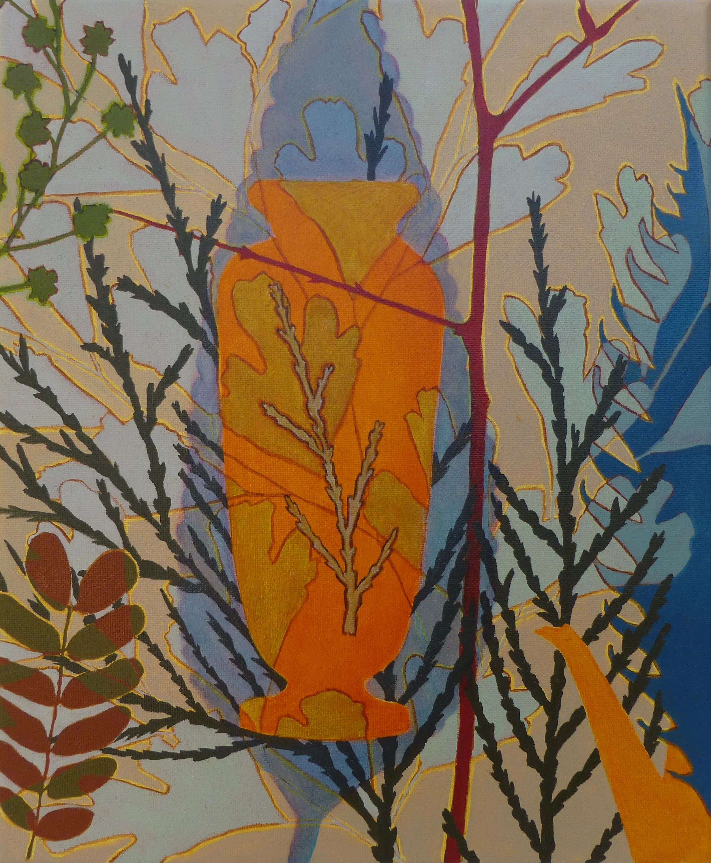 Common sage, oil on linen, 31 x 25cm