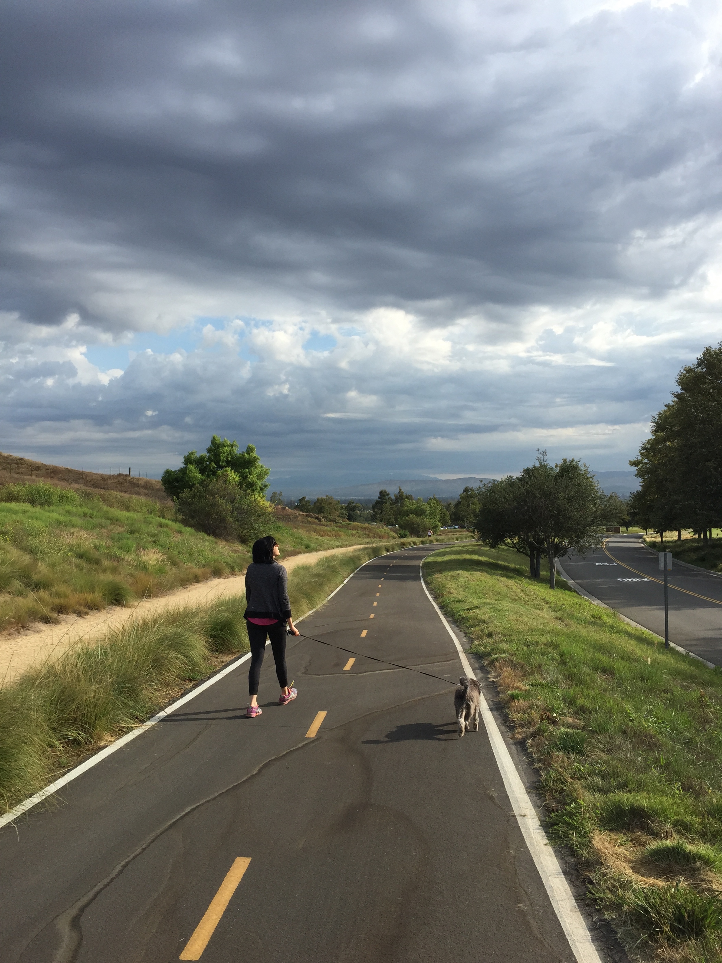 Desperate for change but feeling stuck?                 The only way out, is in.