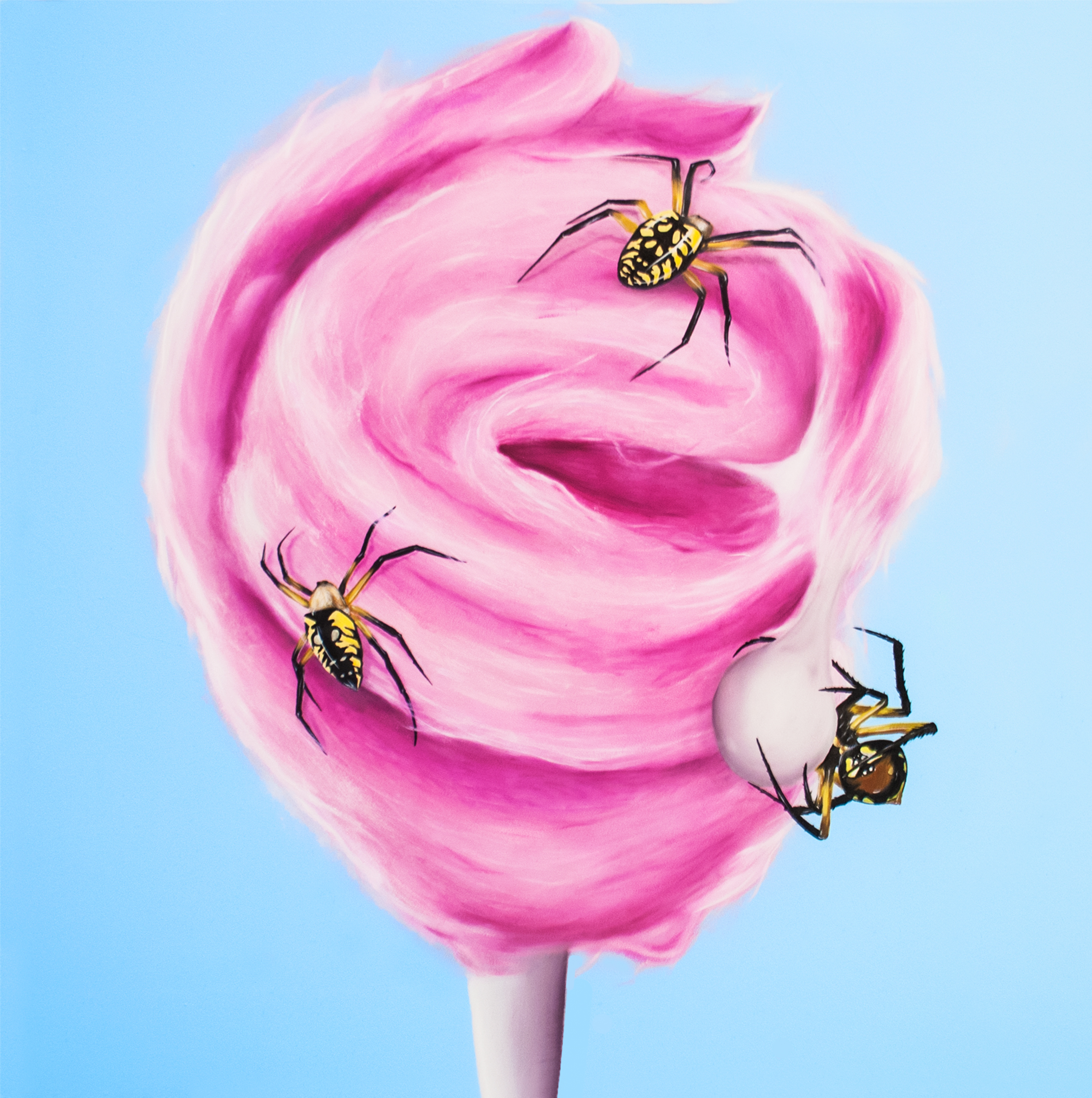 Candy Web