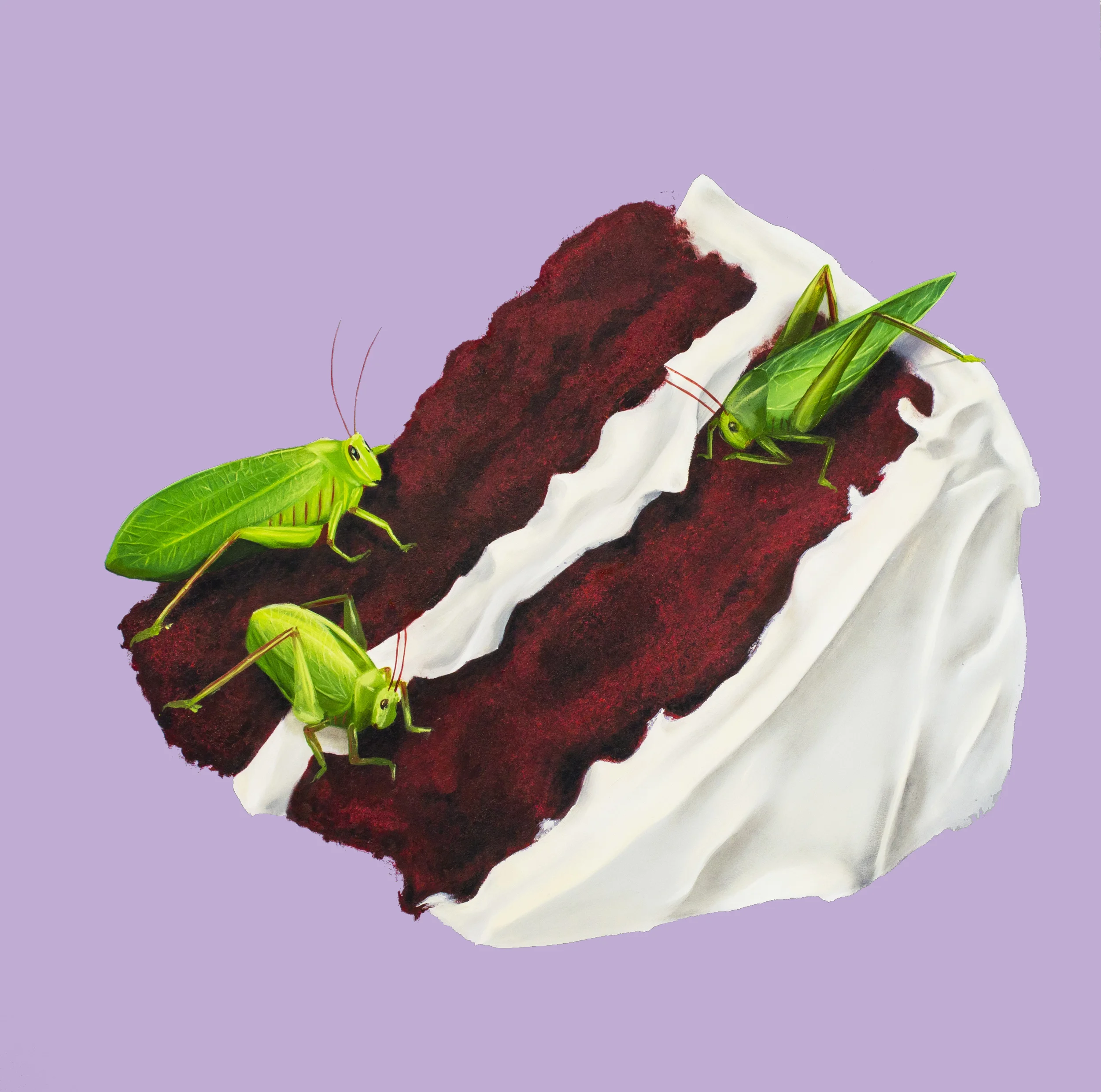 Katydid Confection