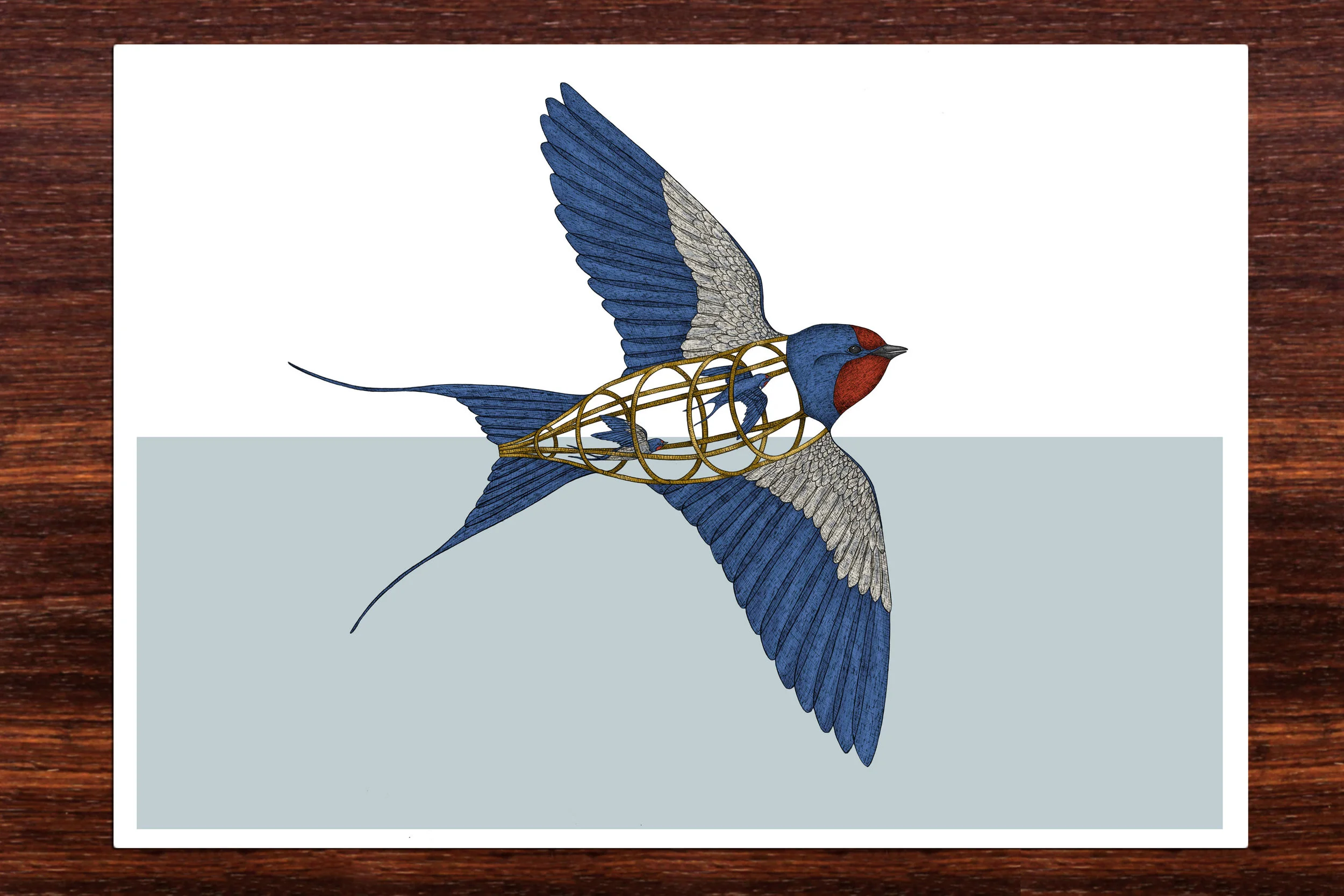 Bird-in-a-cage.jpg