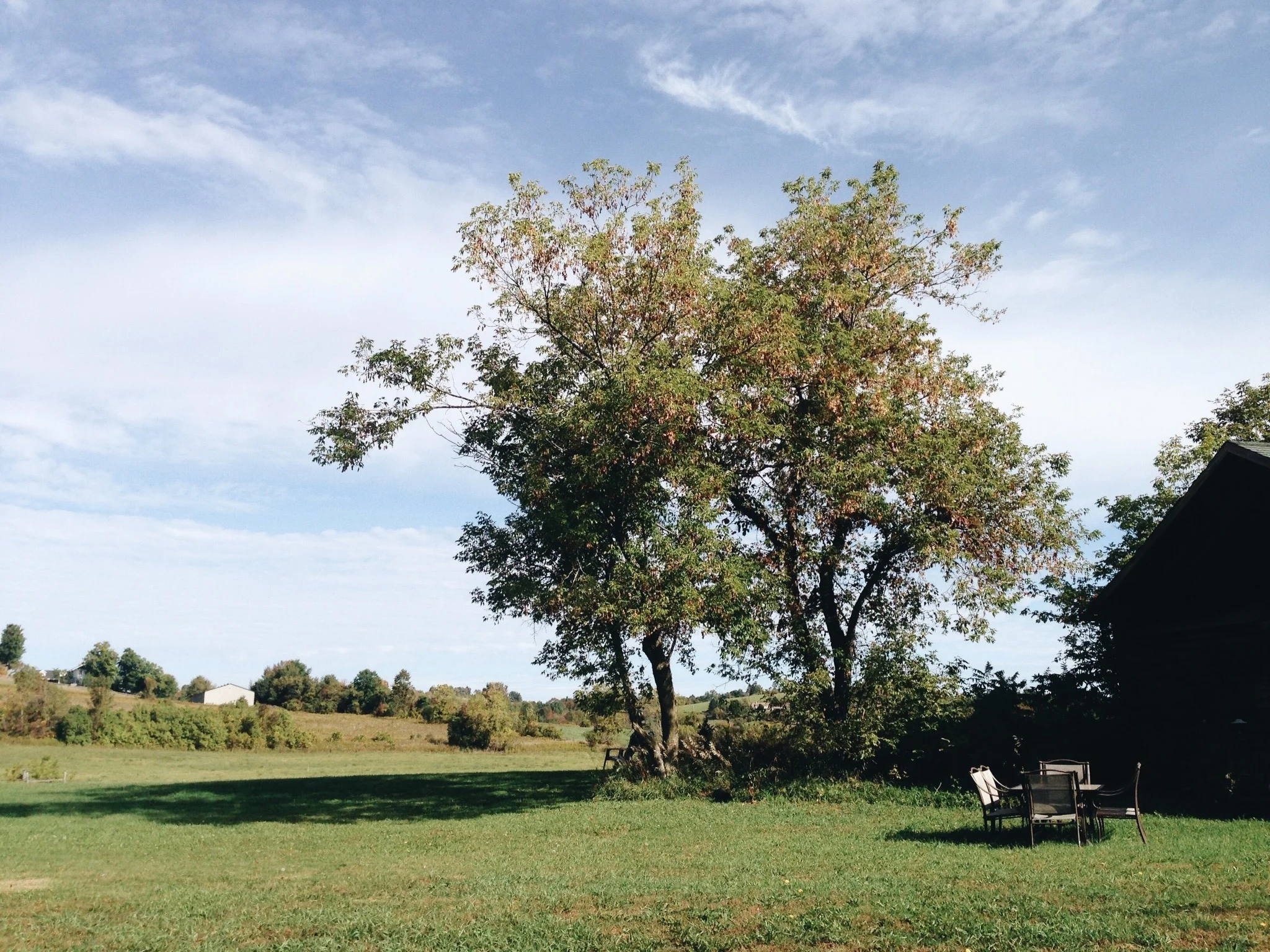 Fall