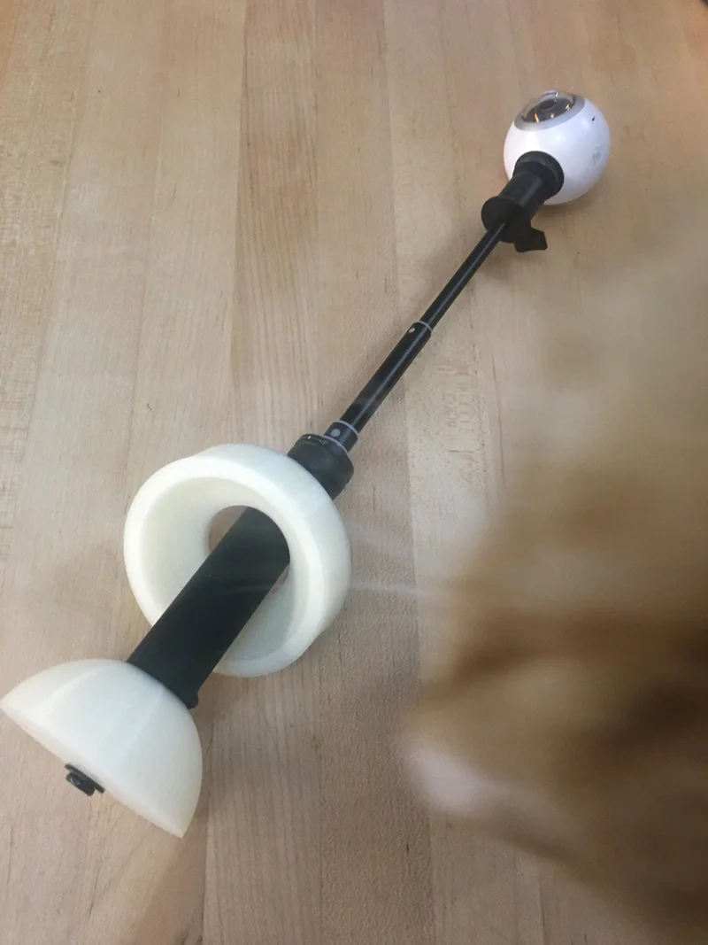 Move, kitty! 