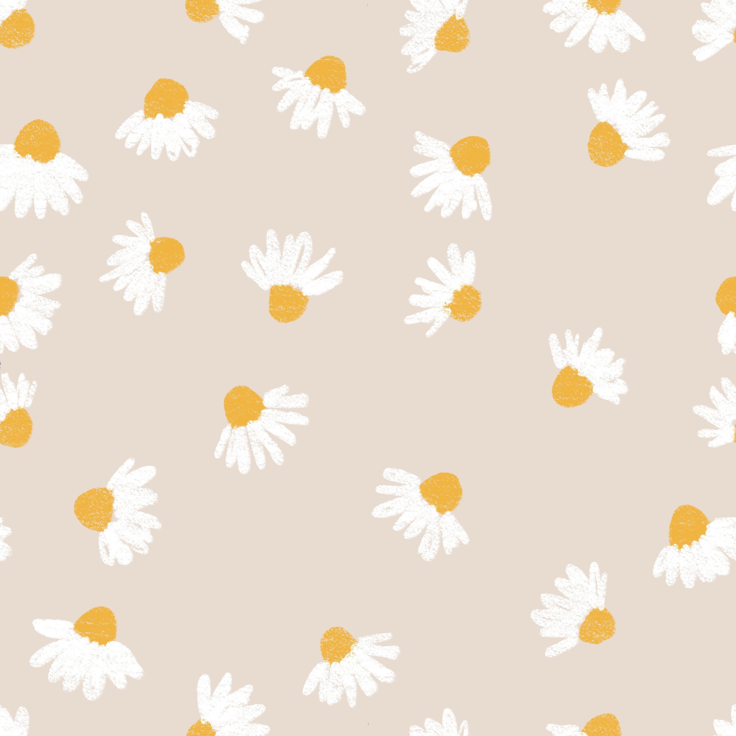 Summer Daisies.jpg