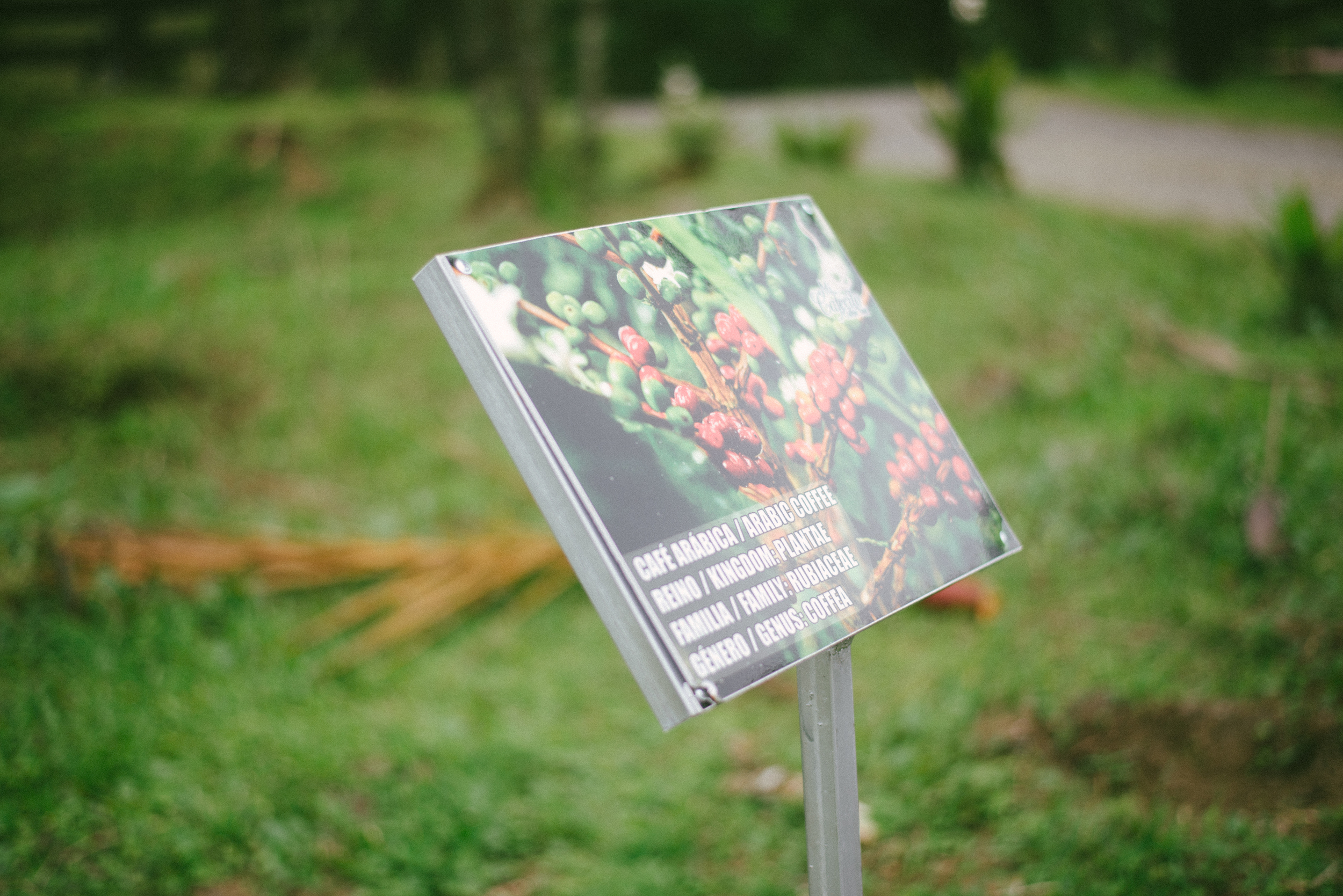 workshop-finals-59.jpg