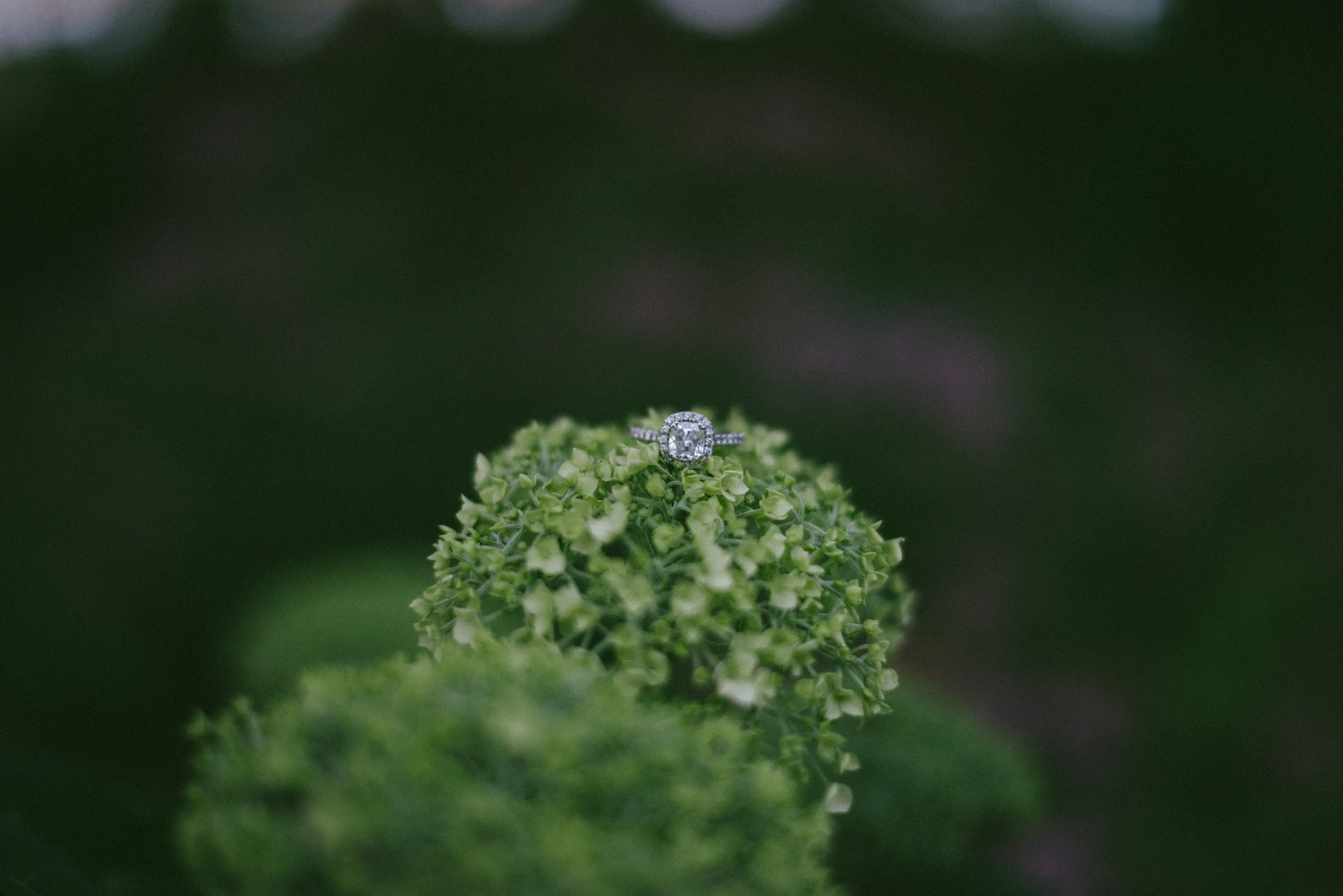 heather-josh-engaged-148.jpg
