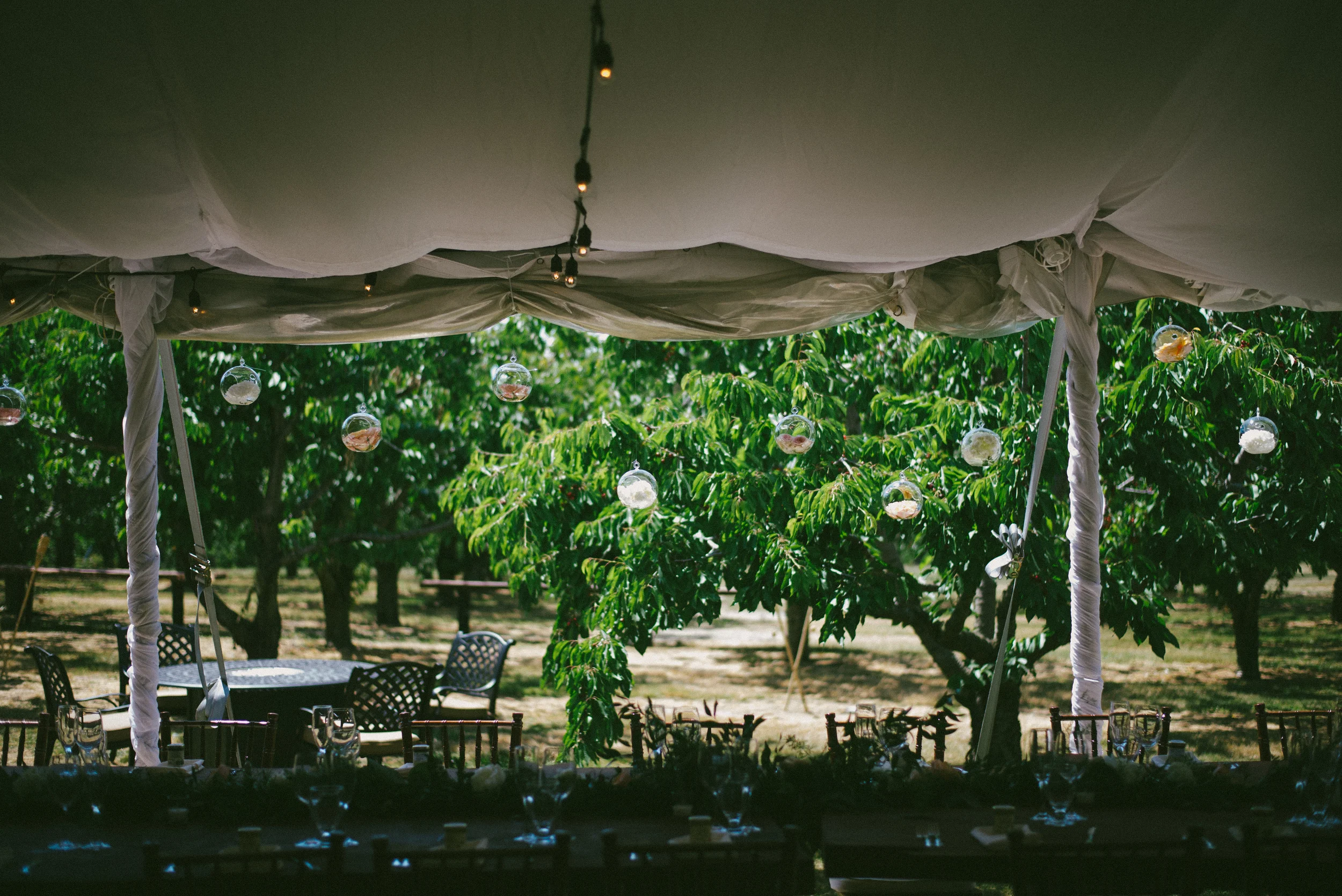 bagshaws-reception-11.jpg